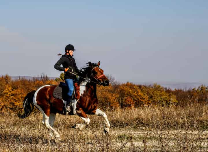 競馬をやってみて私が感じたのはこれで儲けることを考えないこと