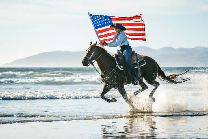 どうしてファンが多いの？競艇や競輪と比較したときの、競馬独自の特徴と面白さ