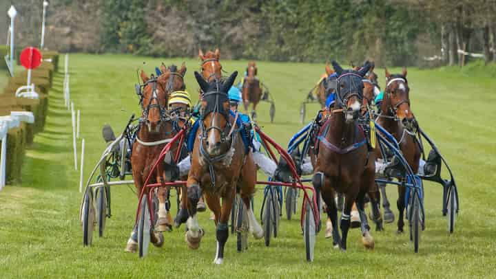 競馬の歴史的背景から日本独自の発展、そしてAI活用や女性騎手の活躍まで解説