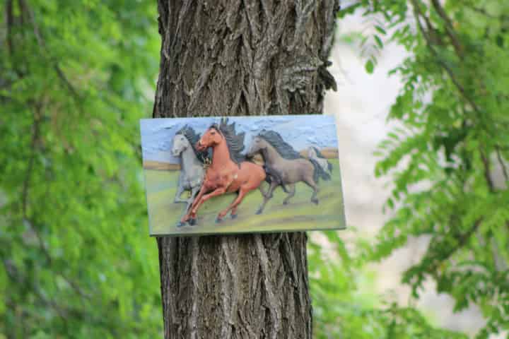 競馬