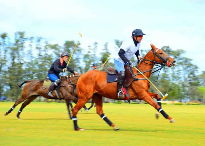 一時期は競馬の人気が低迷すると不安視されましたが、最近は若者や女性の注目が集まって来ています