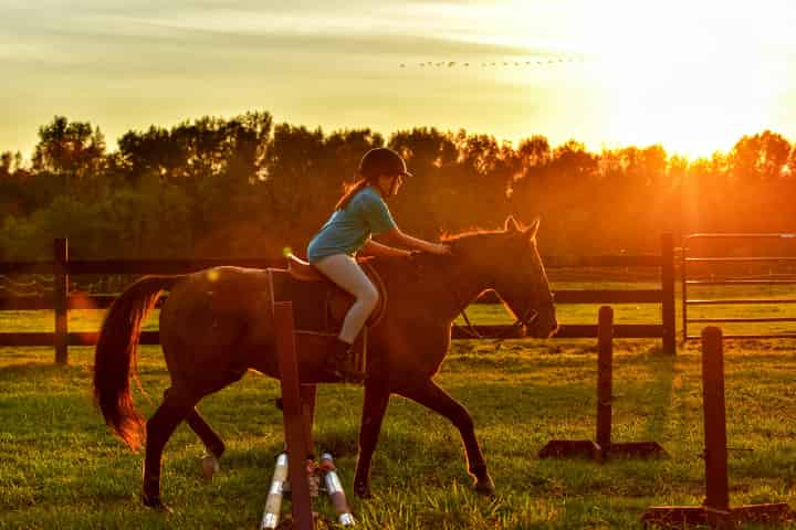 競馬業界のデジタル化と最新トレンド:成功の秘訣と興味深いトリビア