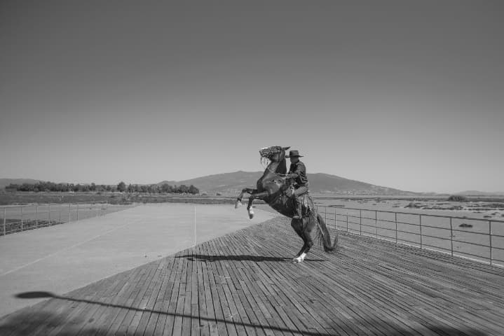 競馬のトリビア