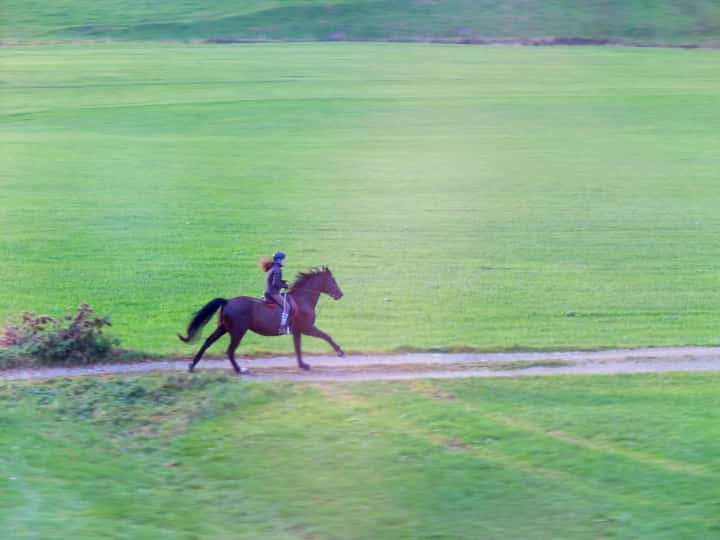 競馬の世界において女性騎手と男性騎手の有利不利はある？騎手に求められる要素とは？