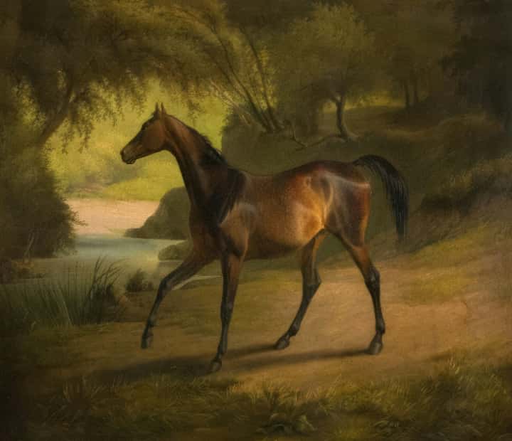 競馬場